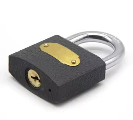 Weather Proof Cast Iron Padlock Heavy Duty Customizable (Wettersicherung aus Gusseisen)